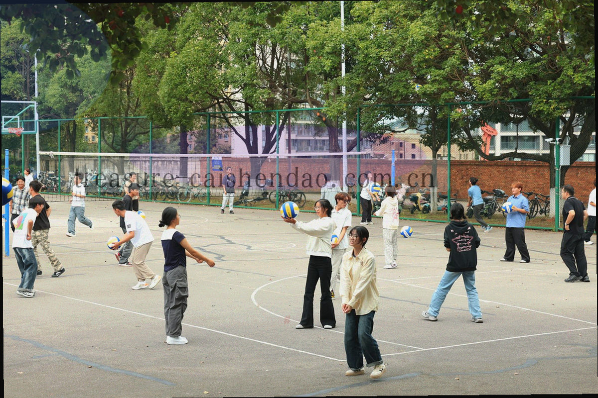 以金色线条与红色块构成的数据感抽象封面